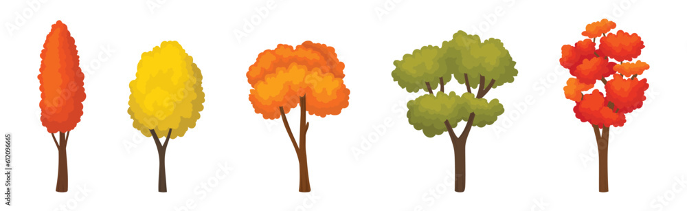 Poster bright colorful autumn trees with vivid crown and trunk vector set