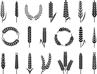 Organic wheat barley ears, bakery harvest symbols. Isolated agriculture elements. Oat or malt for beer and bread. Decent vector silhouettes