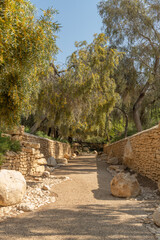 National Park trees and landscape at Paula and Ben Gurion' grave site at Kibbutz Sde Boker in the...