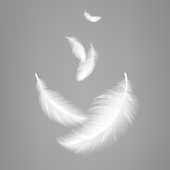 White flying realistic feathers. Bird feather composition, lightness effect of pillows or air. Vector decorative graphic elements