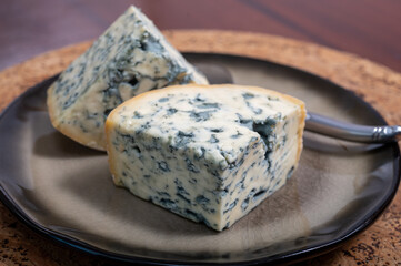 Cheese collection, piece of French blue cheese auvergne or fourme d'ambert close up