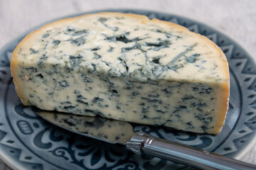Cheese collection, piece of French blue cheese auvergne or fourme d'ambert close up