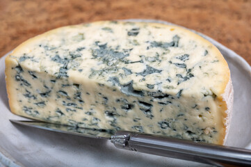 Cheese collection, piece of French blue cheese auvergne or fourme d'ambert close up