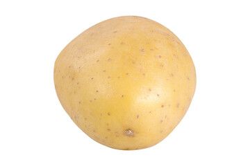 Potato on isolated white background