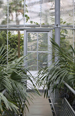 Door in greenhouse