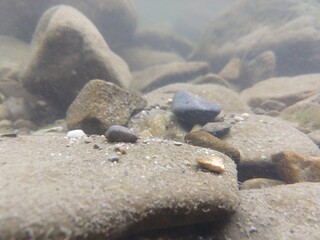 River, lake or the brook flowing in the wild nature. Slovakia