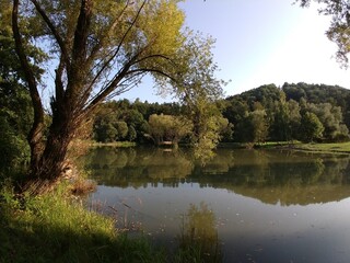Fototapeta premium River, lake or the brook flowing in the wild nature. Slovakia