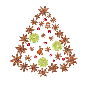 Watercolor illustration of Christmas tree figure composed of Star Anise, Lime slices, Cranberry and Gingerbread Cookie isolated on transparent background. Set for the design of greetings, package