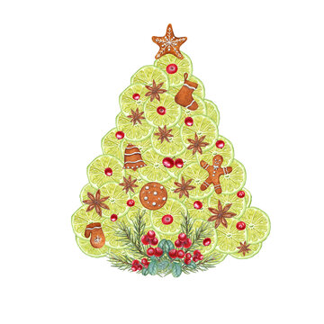 Lime circles, Star Anise, Christmas Cookies and Lingonberries folded in the shape of Christmas tree isolated on transparent background. Watercolor illustration for Christmas and New year cards design