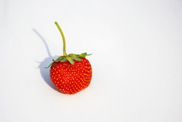 strawberry close-up on white background