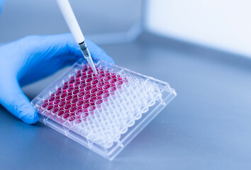 cell culture at the laboratory of cell culture  medical and medicine 