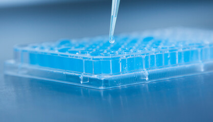 cell culture at the laboratory of cell culture  medical and medicine 