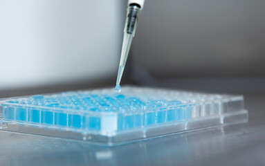 cell culture at the laboratory of cell culture  medical and medicine 