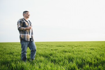 Naklejka na ściany i meble Portrait of senior farmer standing in green wheat field.