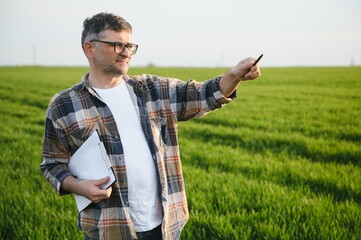 Portrait of senior farmer standing in wheat field examining crop during the day.