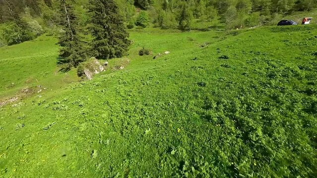 Le long de la route de la soif, dans les Aravis, Savoie/Haute-Savoie, France 08/19