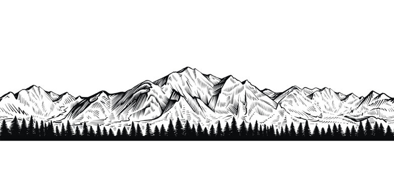 Vector seamless mountain with coniferous forest sketch, endless rock ranges panorama.