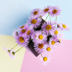 Bright summer composition of erigeron flowers on a multicolored background. Concept of summer. Flower bouquet for the holidays