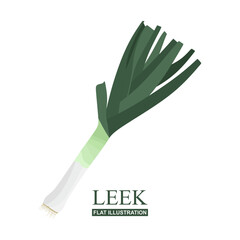 Leek vector icon. Organic healthy food isolated on white background. Fresh Leek in flat cartoon illustration. Onion stalk vector illustration