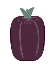 Fresh organic vegetables, ripe and juicy