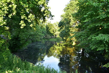 Fototapeta na wymiar river in the park 