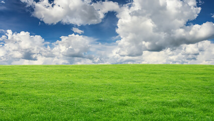 Fototapeta na wymiar Spring landscape with wonderful cloudy sky and green grass - generative ai