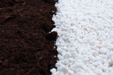 soil and Perlite for plants. neutral material of volcanic origin