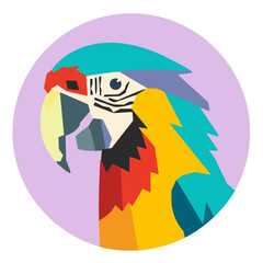 Macaw vector illustration on circle background