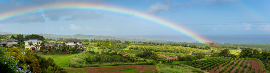 Beautiful Hawaiian Rainbow Over a Coffee Plantation. Hawaii is known for its intense and colorful...