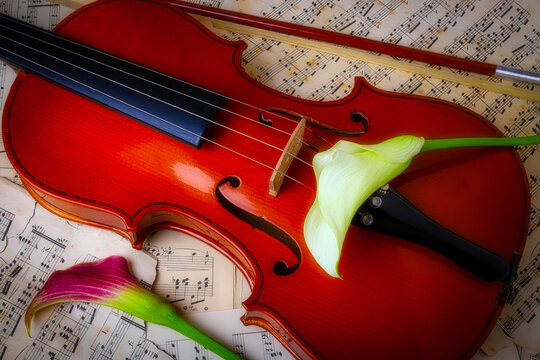 Calla Lillies And Violin