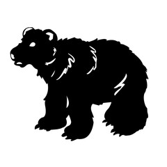 black bear vector