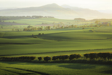 Scenic rolling landscape view across green pastoral farmland to Lomond Hills Regional Park and West Lomond Hill from outside of Kennoway, Fife, Scotland, UK. - obrazy, fototapety, plakaty