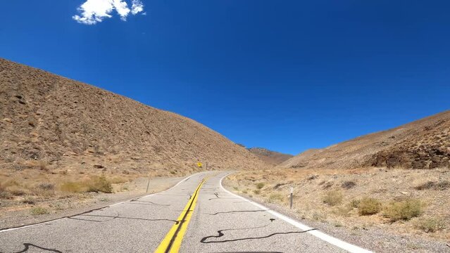 Hwy 168 09 Patriarch Grove Driving POV California