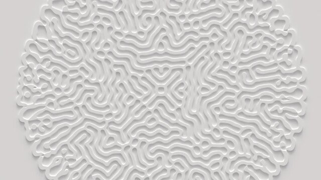 Reaction diffusion organic growing pattern. Cell division science background.