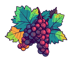 Juicy grape bunch ripe for autumn harvest
