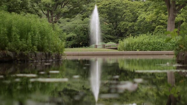 噴水が鏡のような池に映り込む映像。