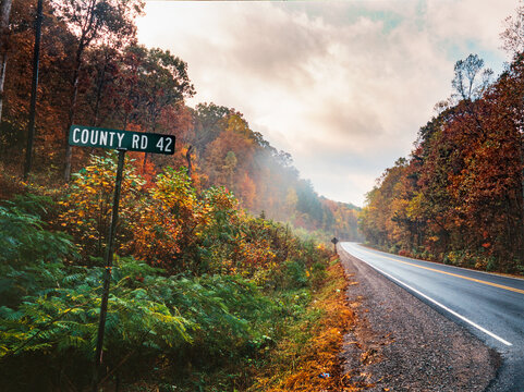 A county road sign along a straight country road in rural Alabama on a foggy autumn morning. - Powered by Adobe