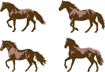 Horses in various poses . Set of vector illustration isolated on white background