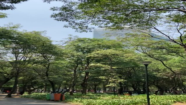 walk in the park Mexico