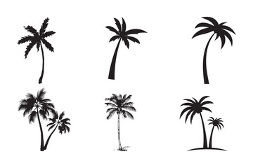 Fototapeta na wymiar set of palm trees vector isolated on white background