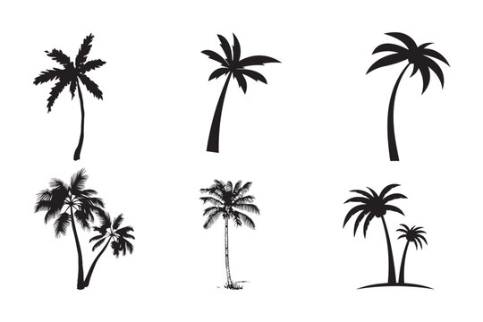 set of palm trees vector isolated on white background