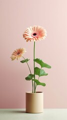 1282. minimalist Gerbera Daisy plant in front of soft color wall. Generative Ai