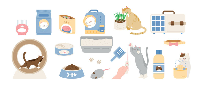 A collection of toys and household items for cats.