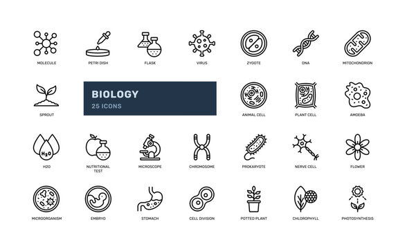biology science laboratory education school learning detailed outline line icon set