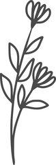 wildflowers, flowers, outline, illustrations, floral, design, vector