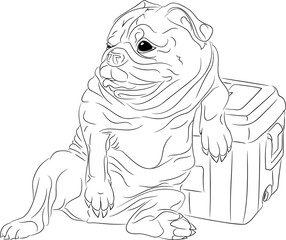 Line art illustration of relaxing pug. Vector illustration of pug dog leaning on portable refrigerator. The pug is resting, leaning its paw on a portable refrigerator. Illustrations of dogs in vector.