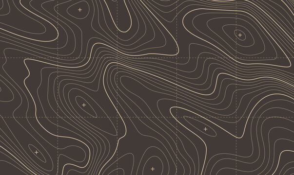 Vector Topography map lines geography texture