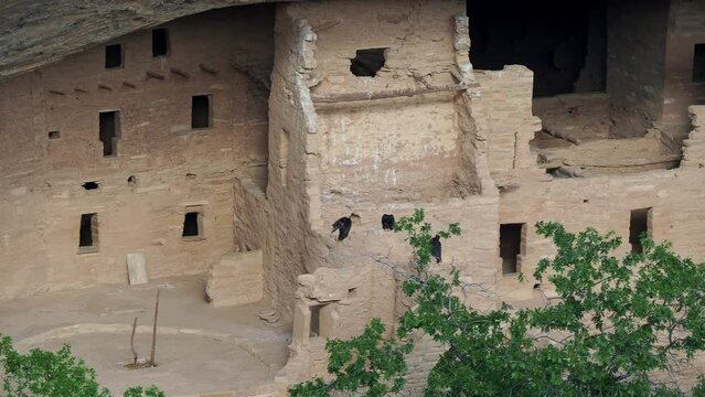 Sunny view of the historical ruins in Mesa Verde National Park
