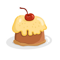 chocolate cake with cherry