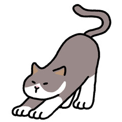 ネコ